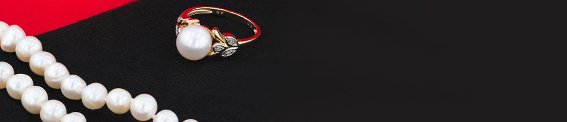 collection banner image