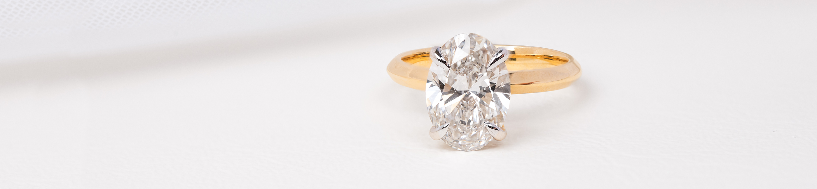 collection banner image